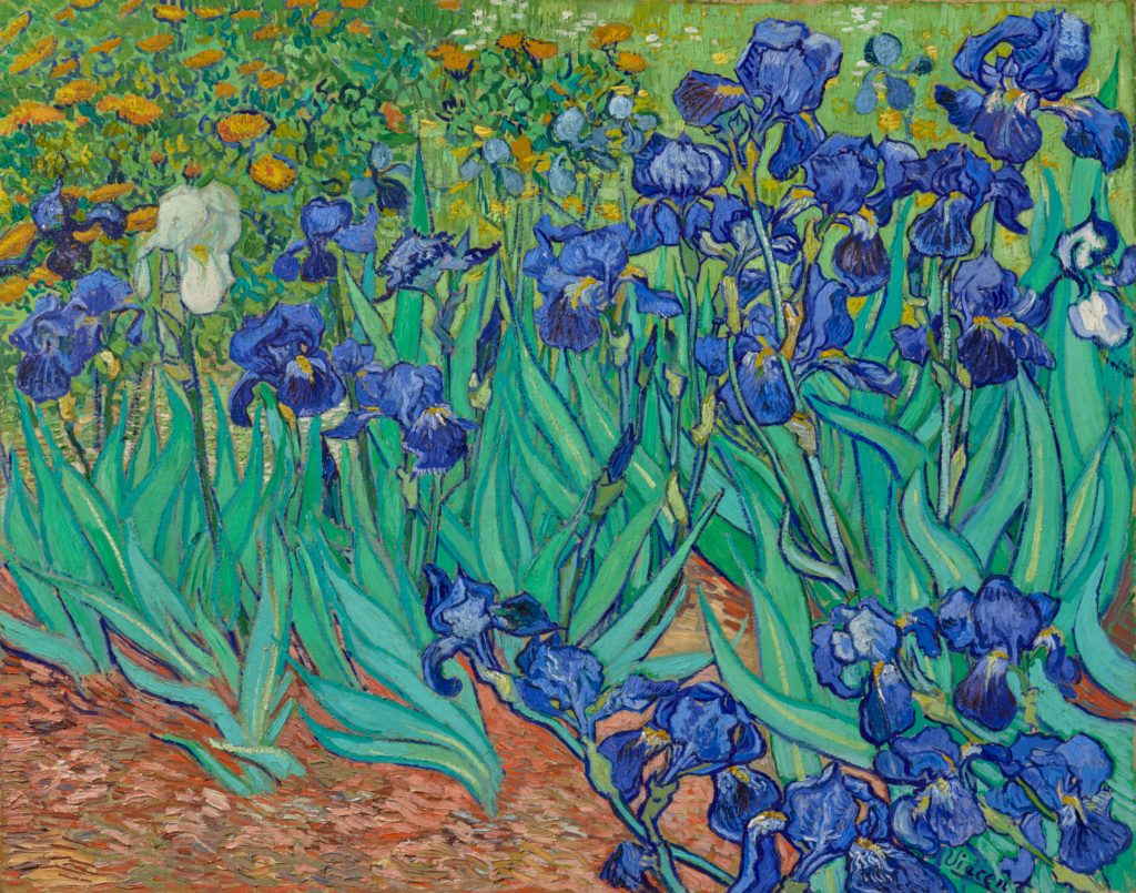 Irises-by-Van-Gogh