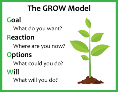 the grow model